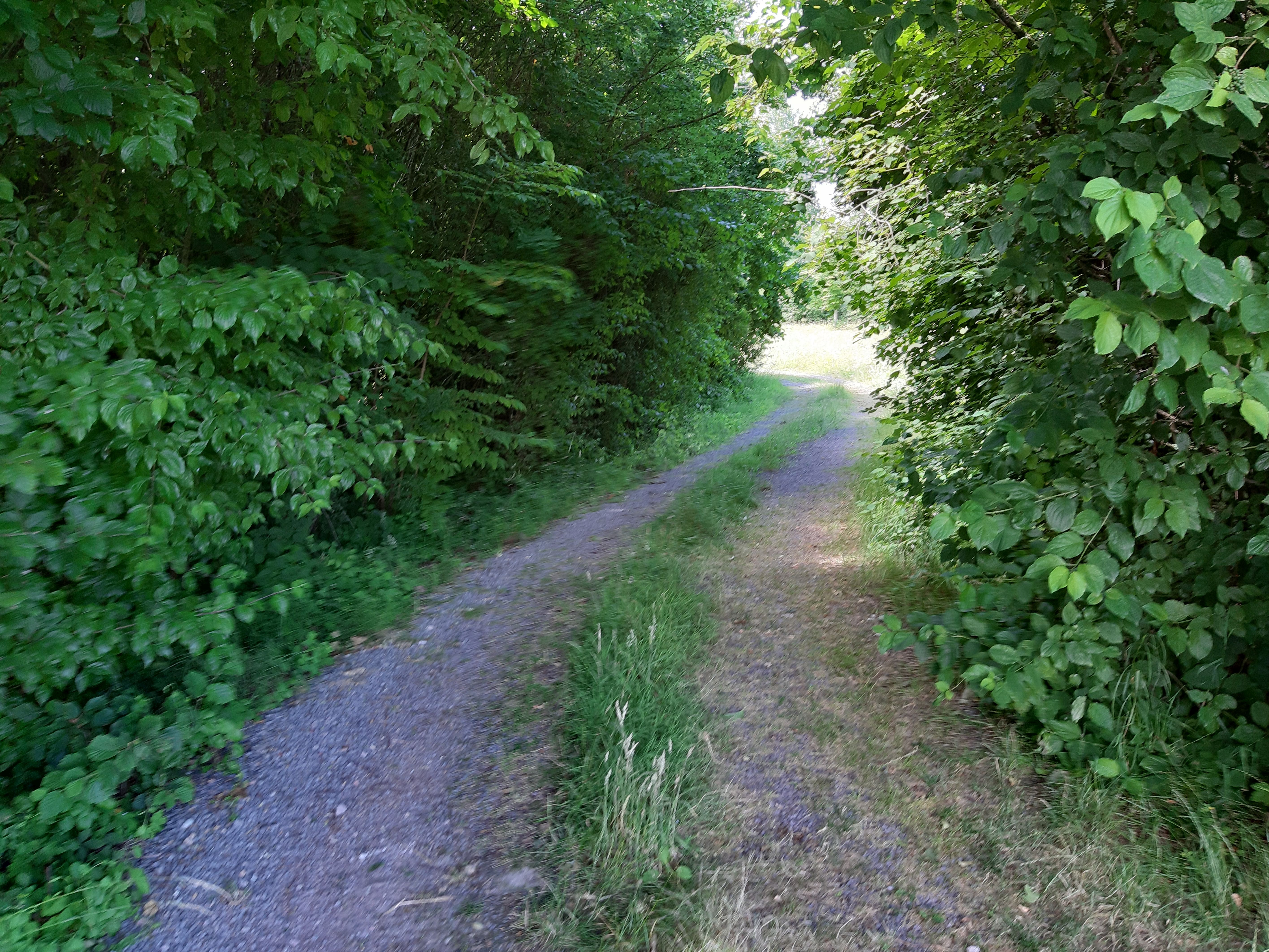 Naturhäuschen in Retranchement