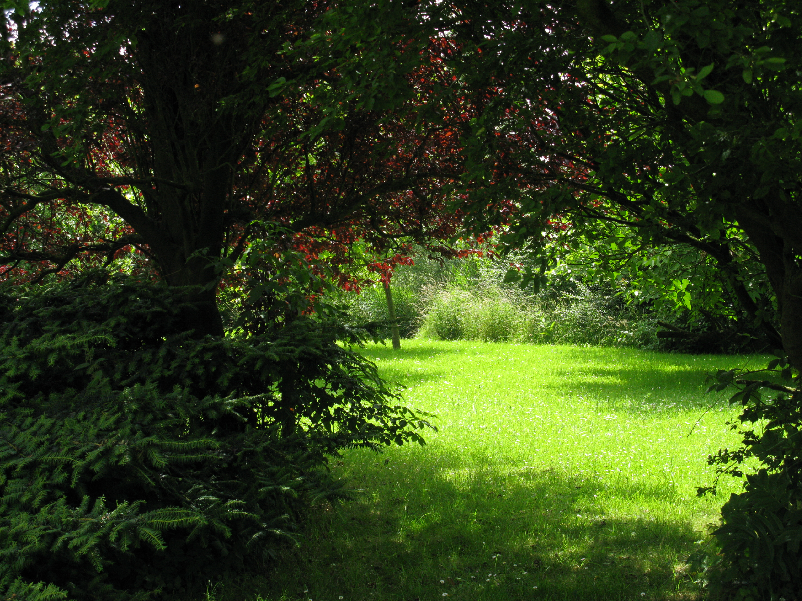 Nature house in Retranchement