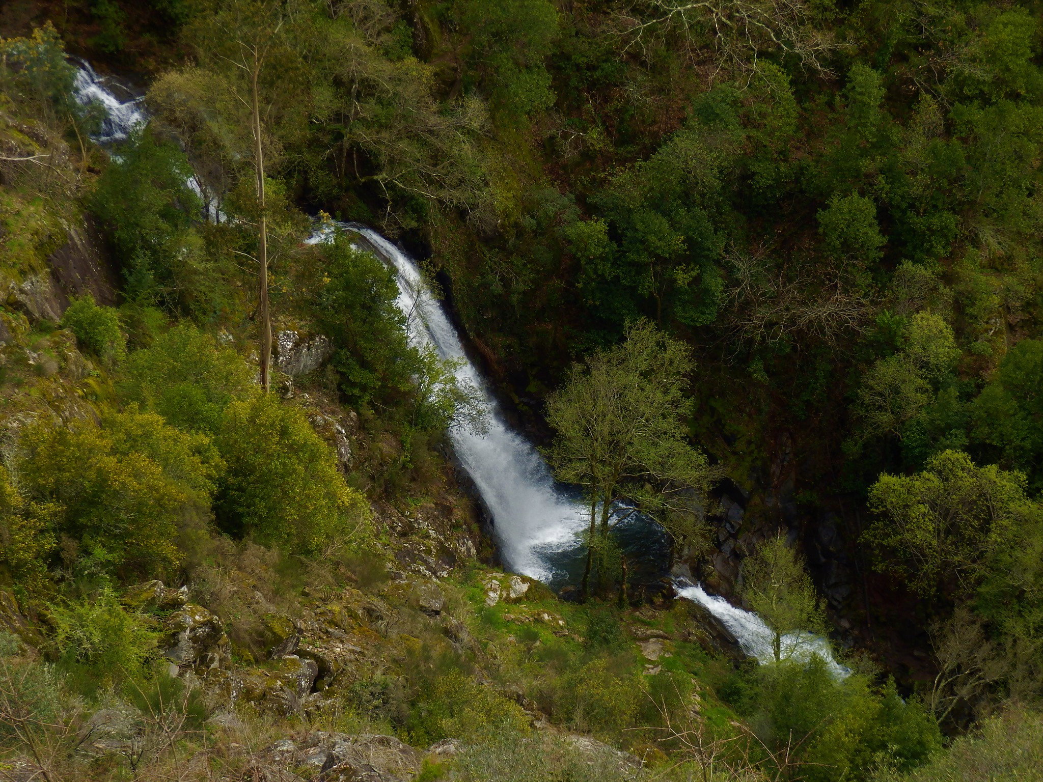 - image: 12