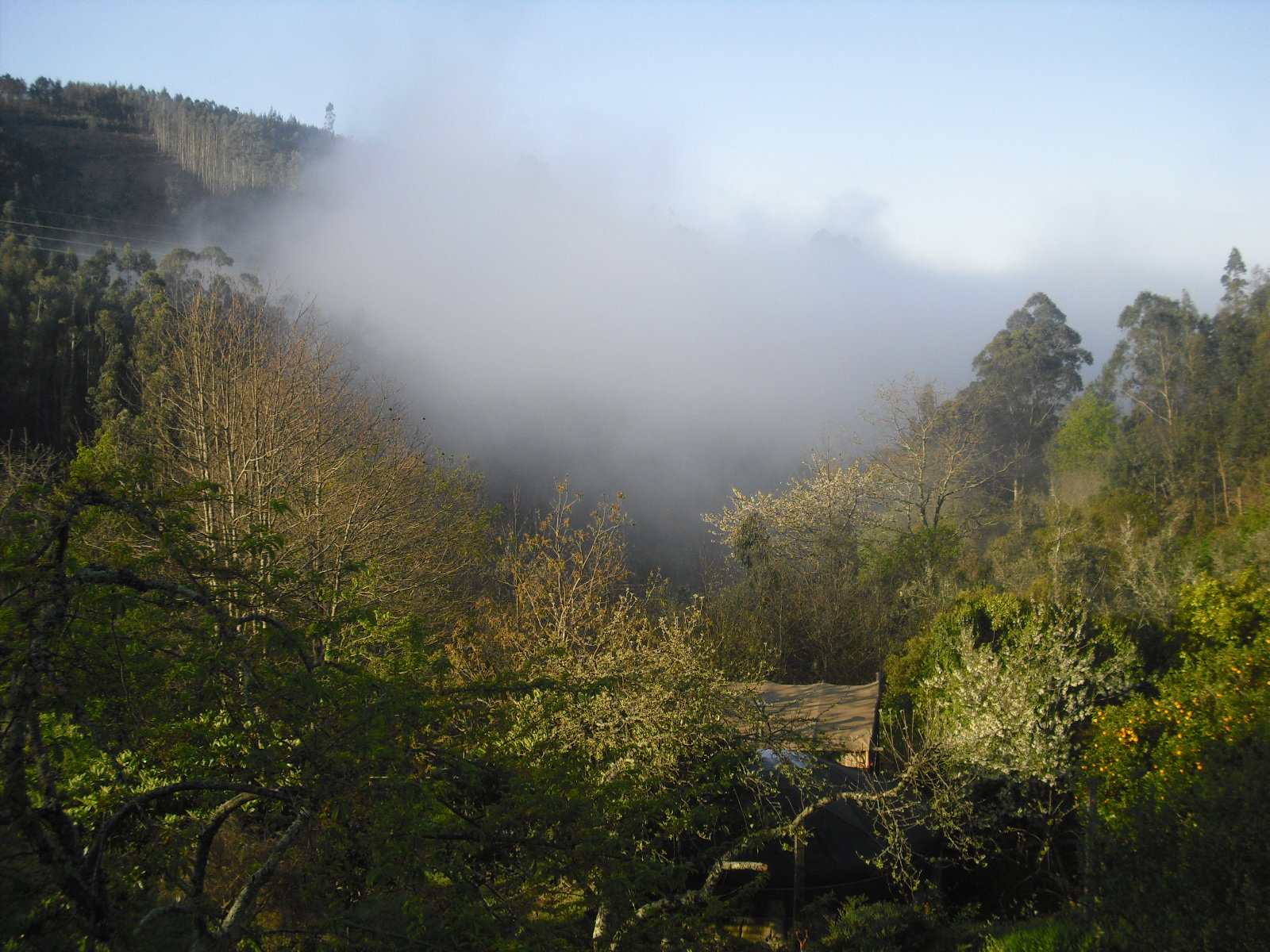 Casa nella natura a Penela