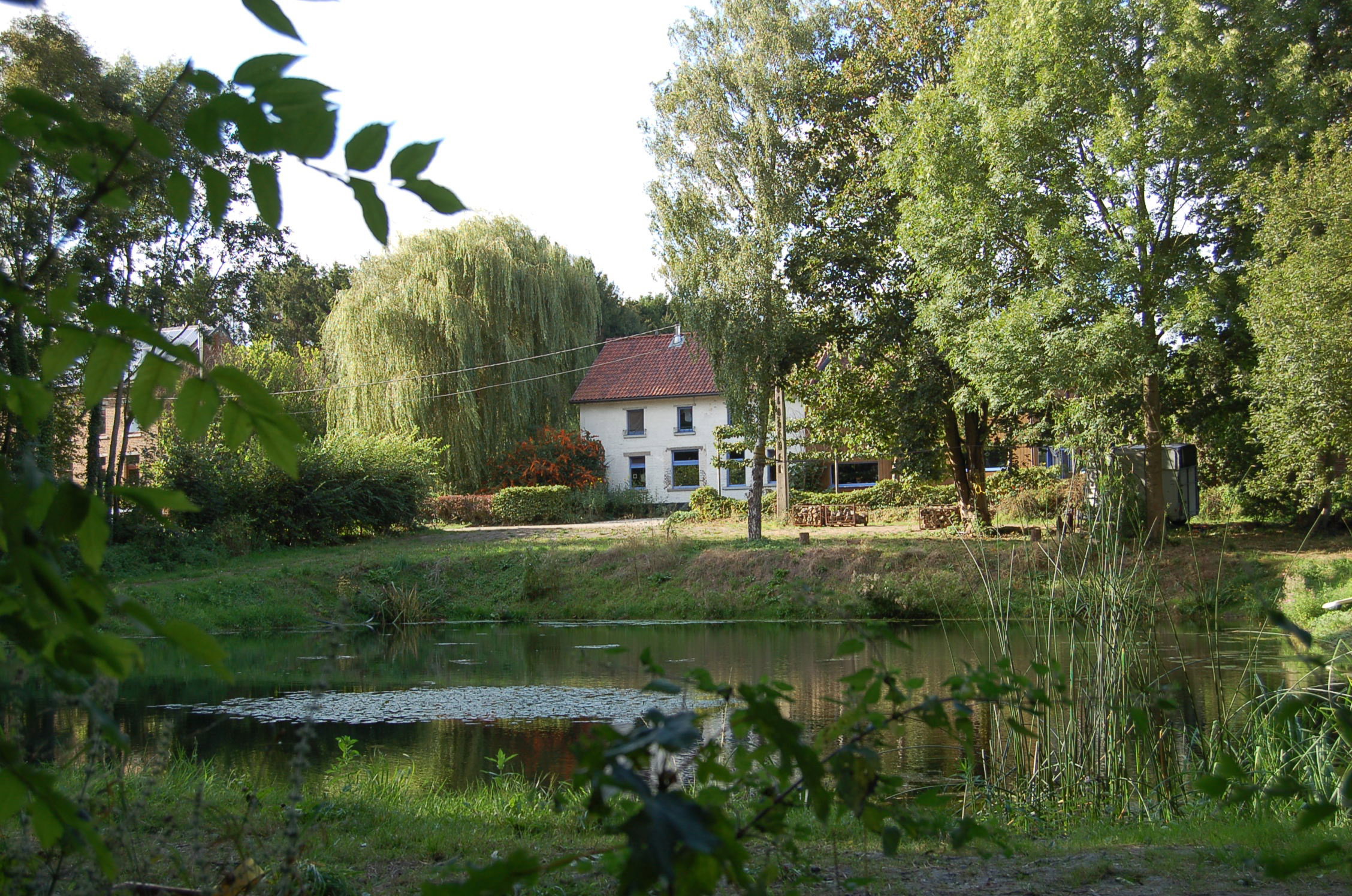 - image: 15