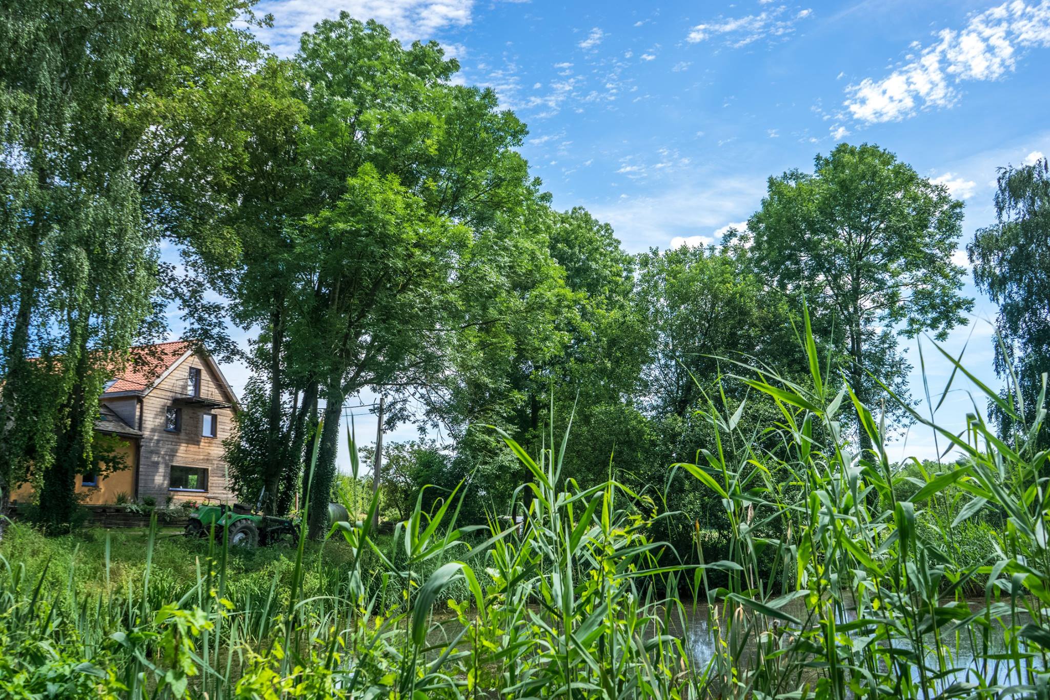 Maison nature à Boutersem