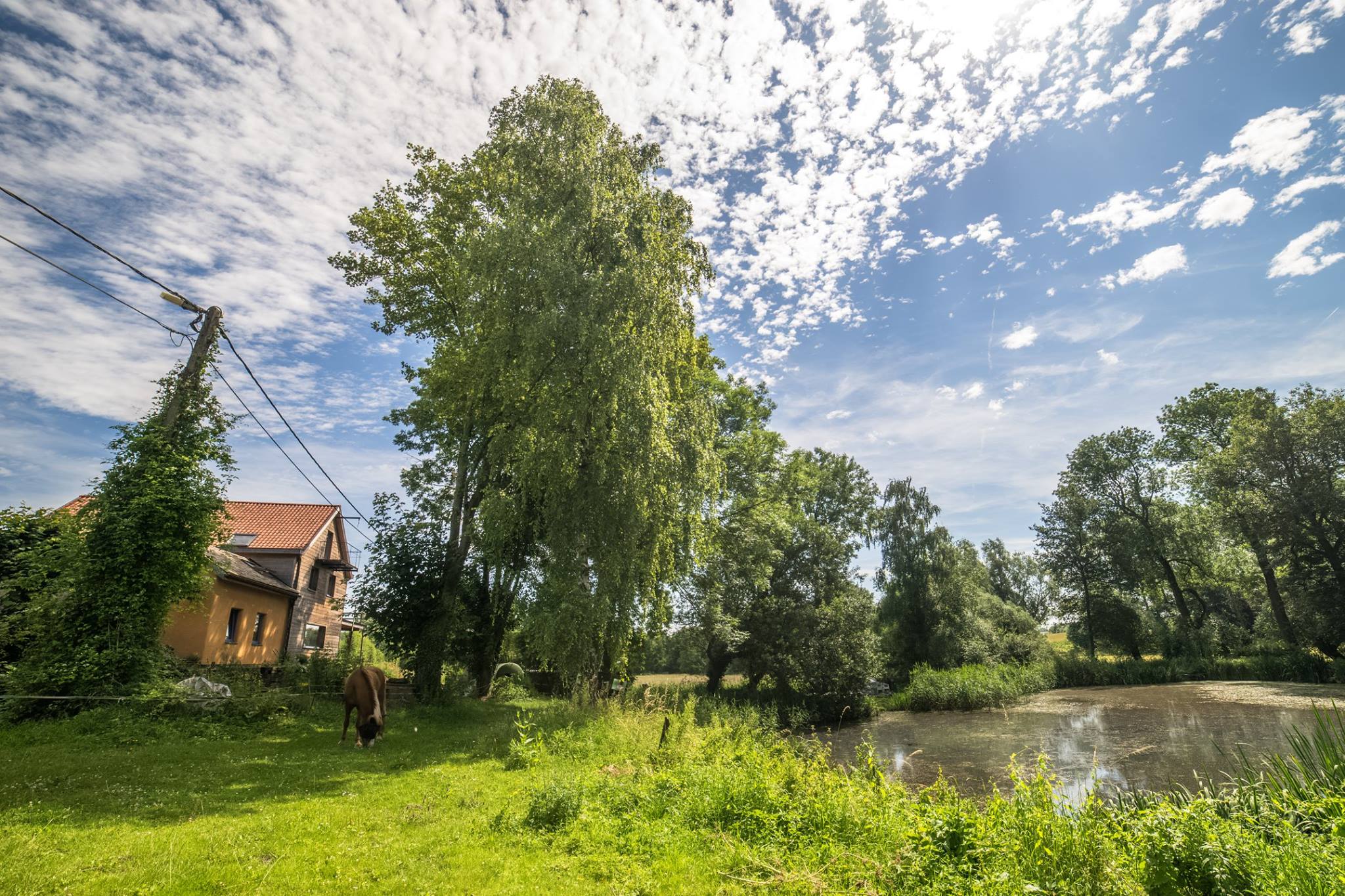 Nature house in Boutersem