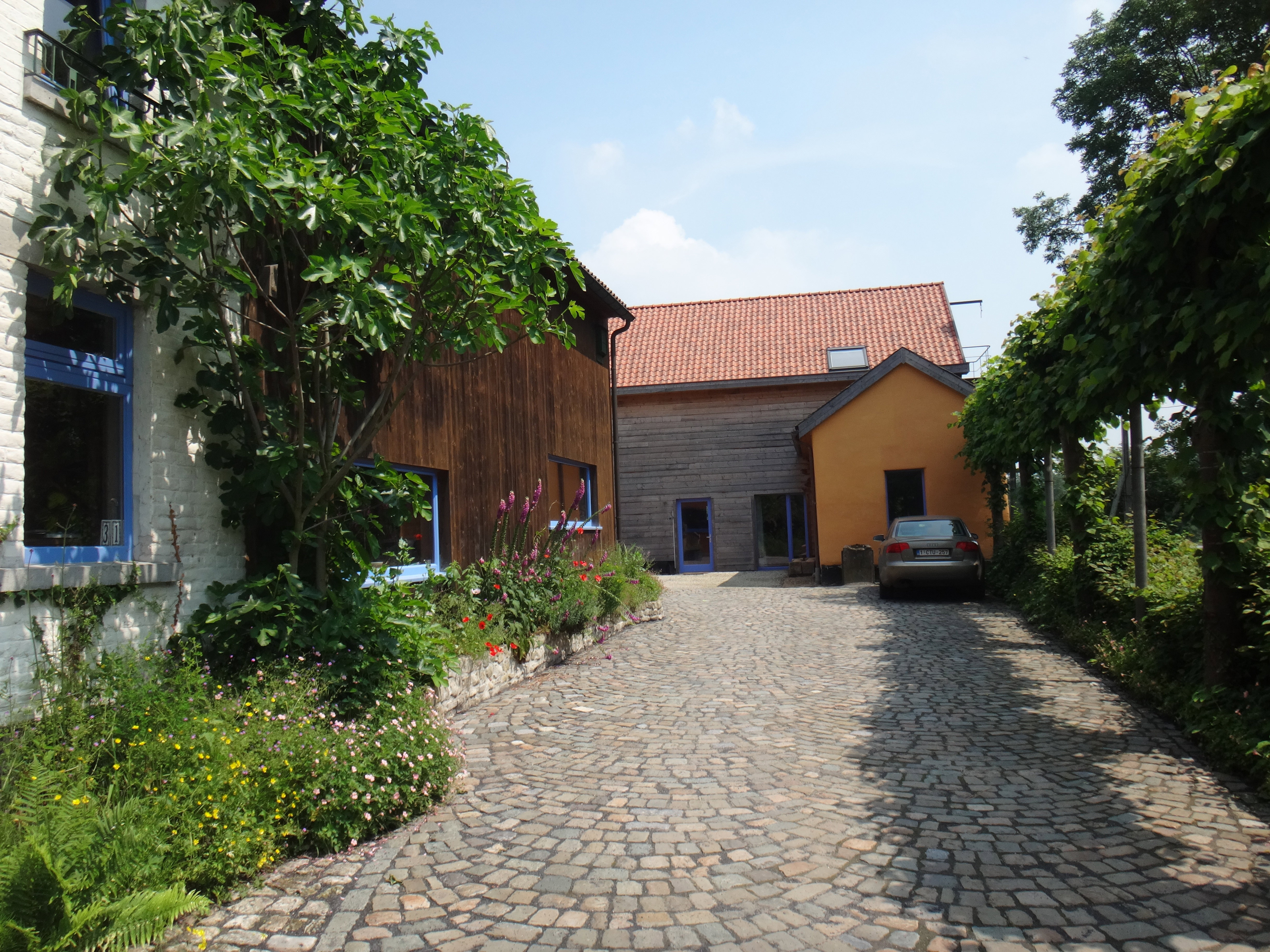 - image: 13