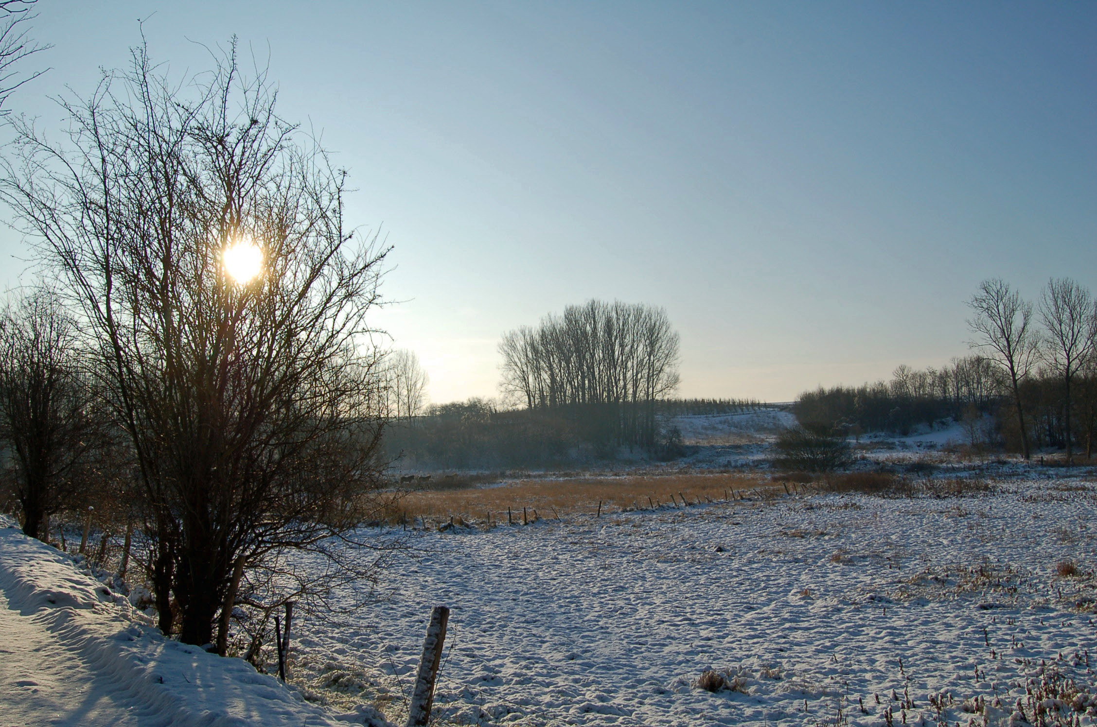 - image: 25