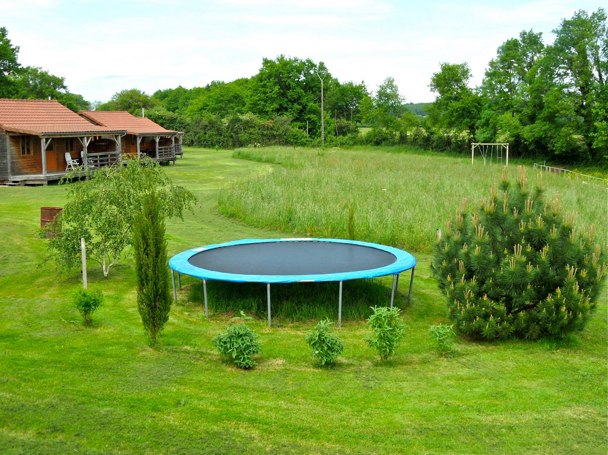 - image: 11