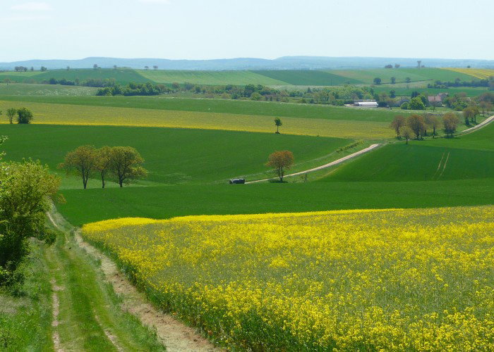 - image: 17