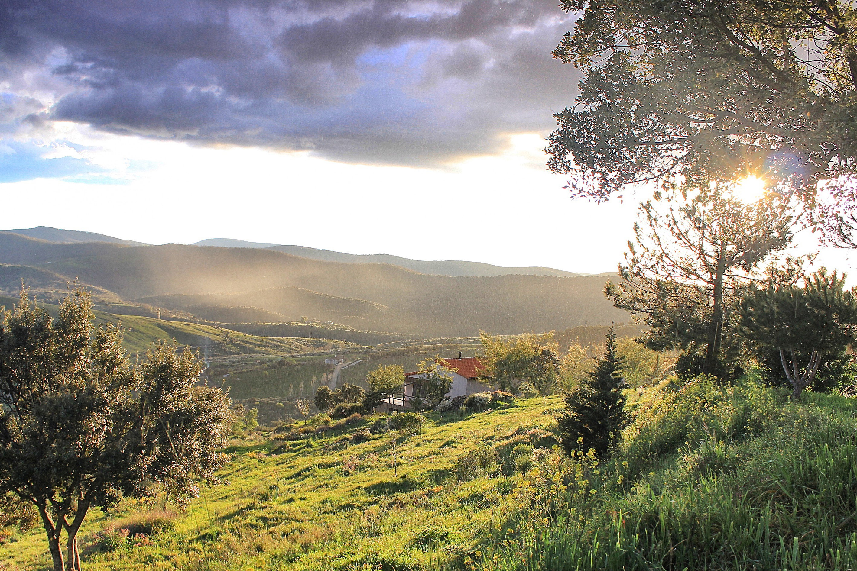 Maison nature à Berzocana