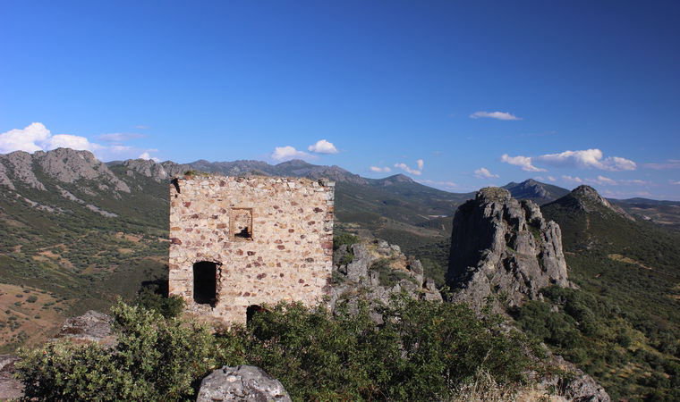 - image: 19