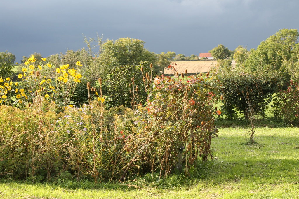 - image: 18