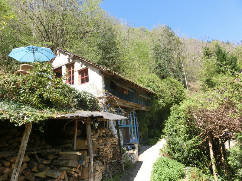 - image: 13