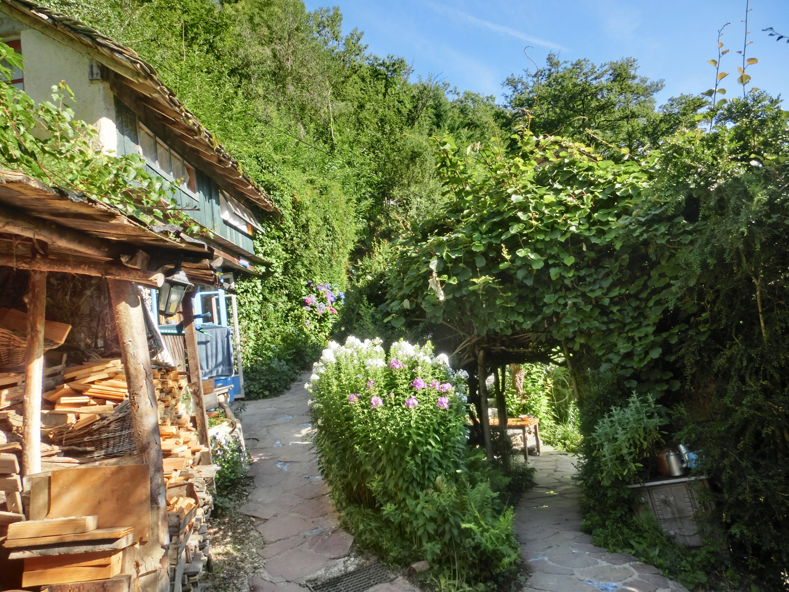 Maison nature à La Bastide-Solages