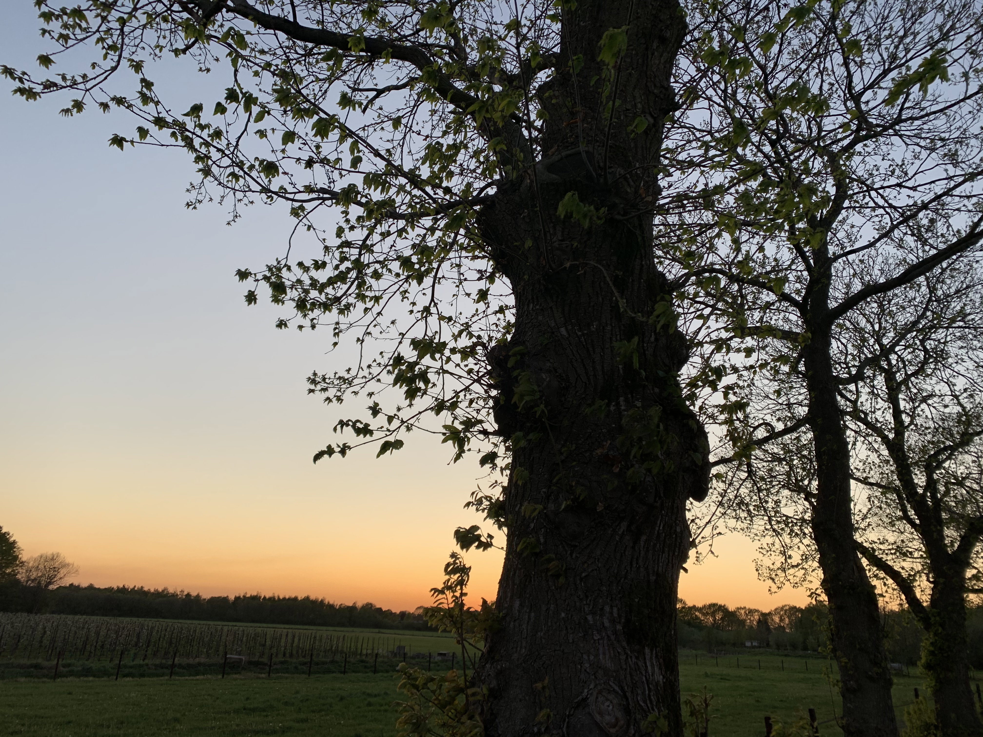 Natuurhuisje in Grathem