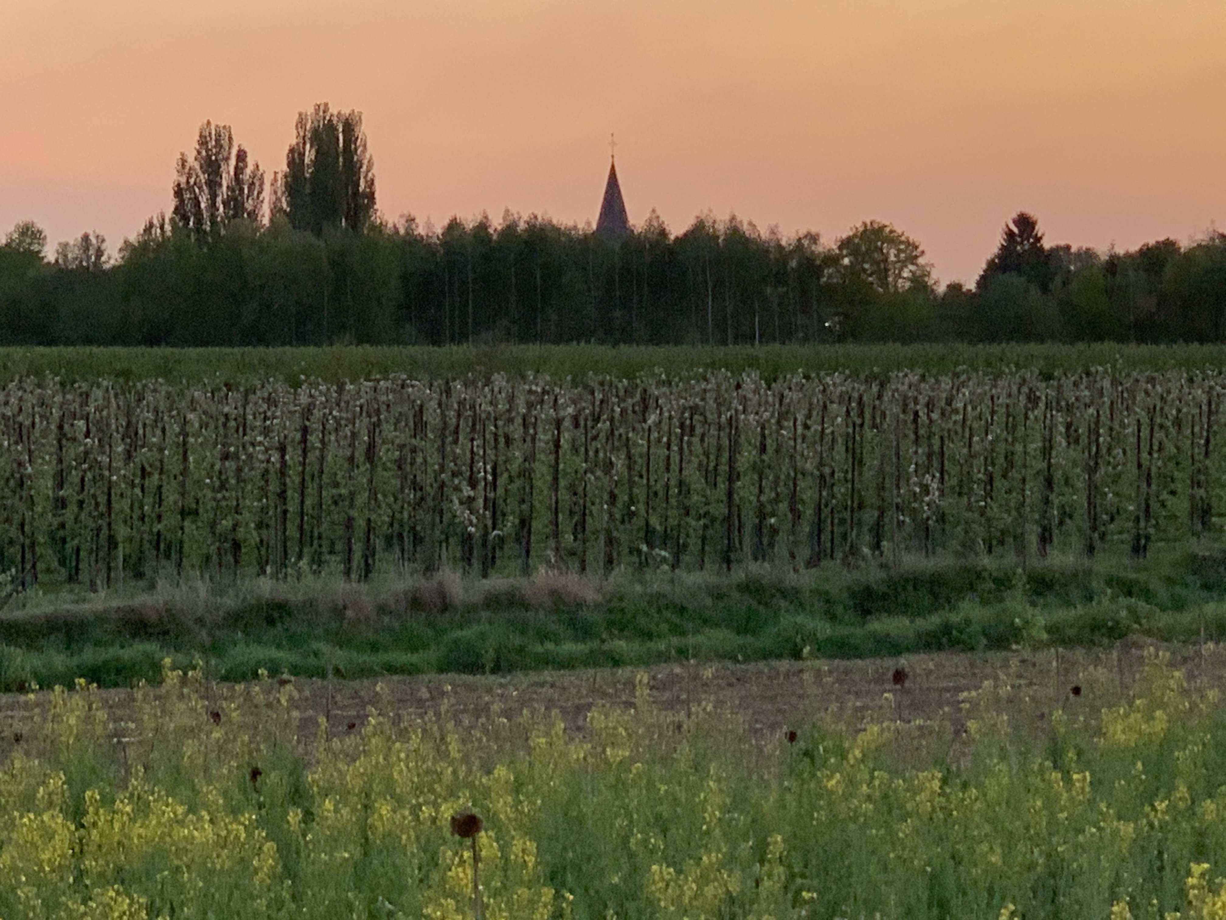 Natuurhuisje in Grathem