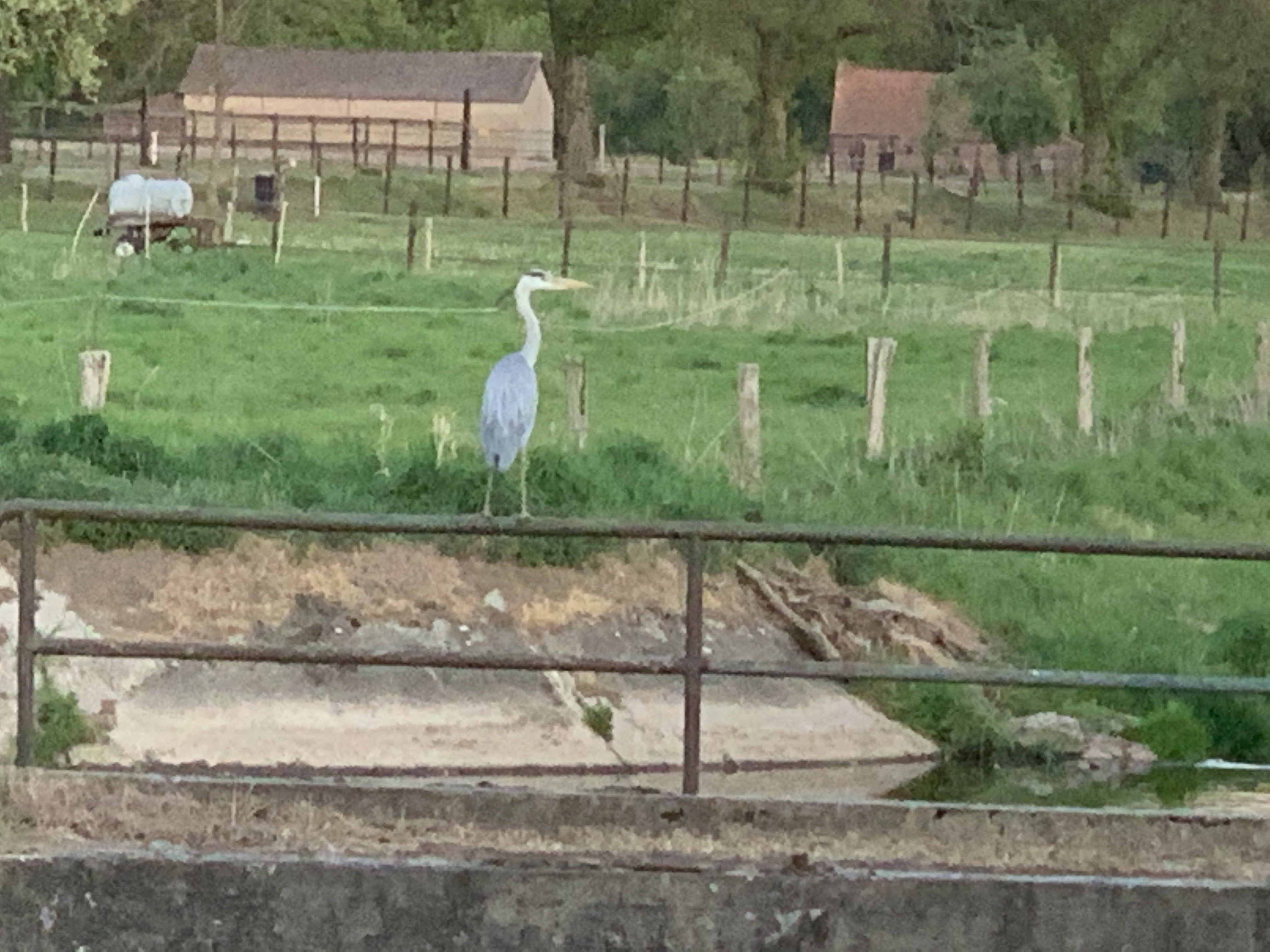 Natuurhuisje in Grathem