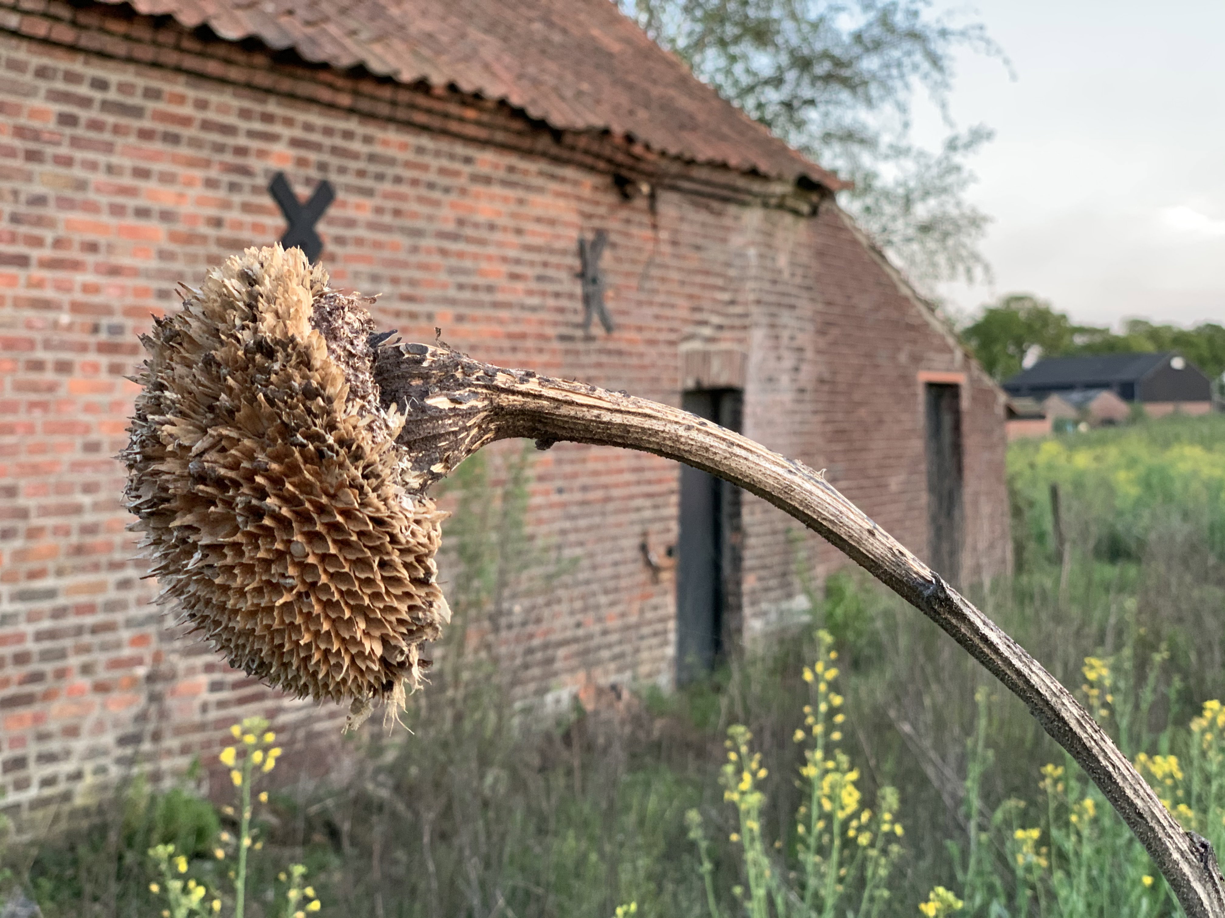 Natuurhuisje in Grathem