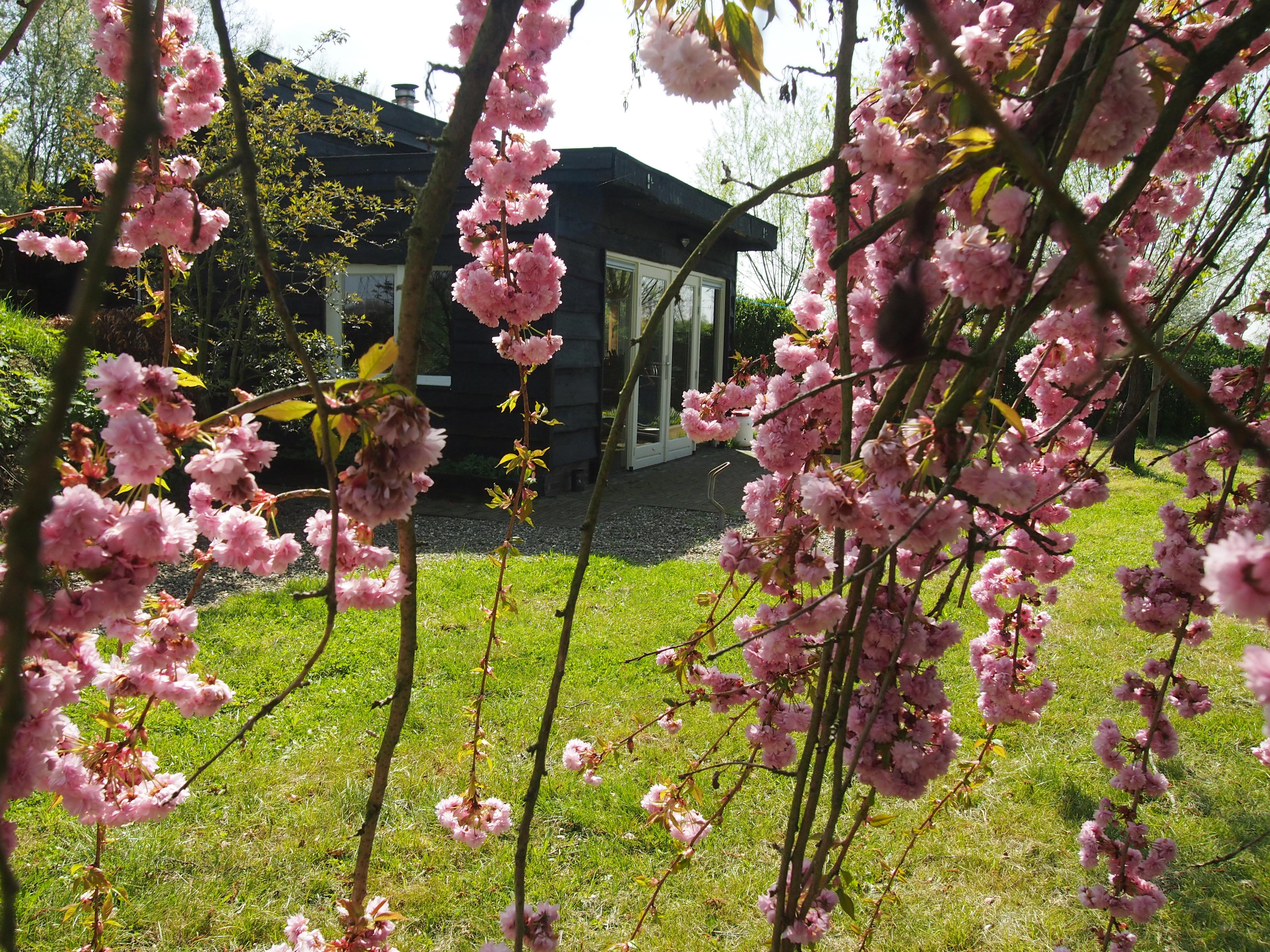 Nature house in Grathem