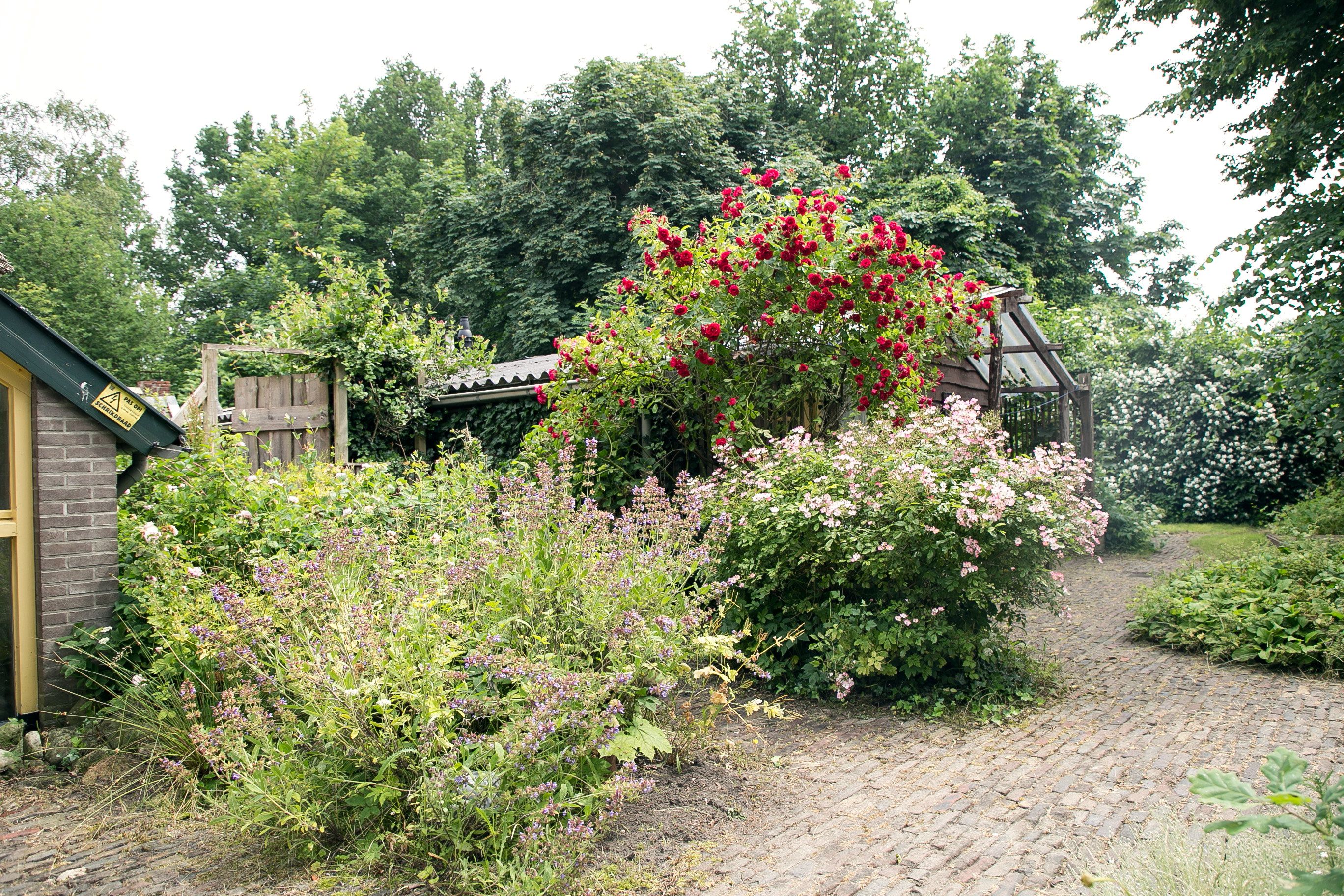 - image: 73