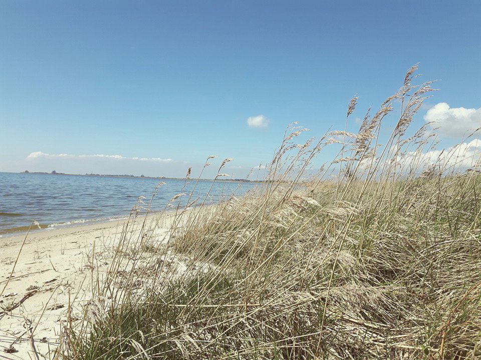 - image: 19