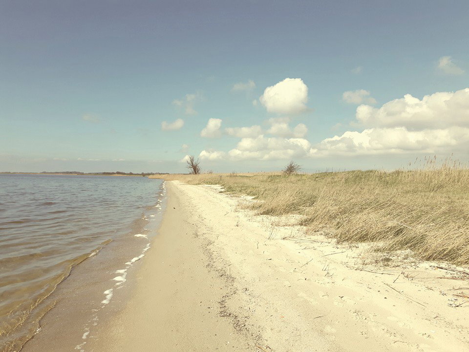 - image: 20