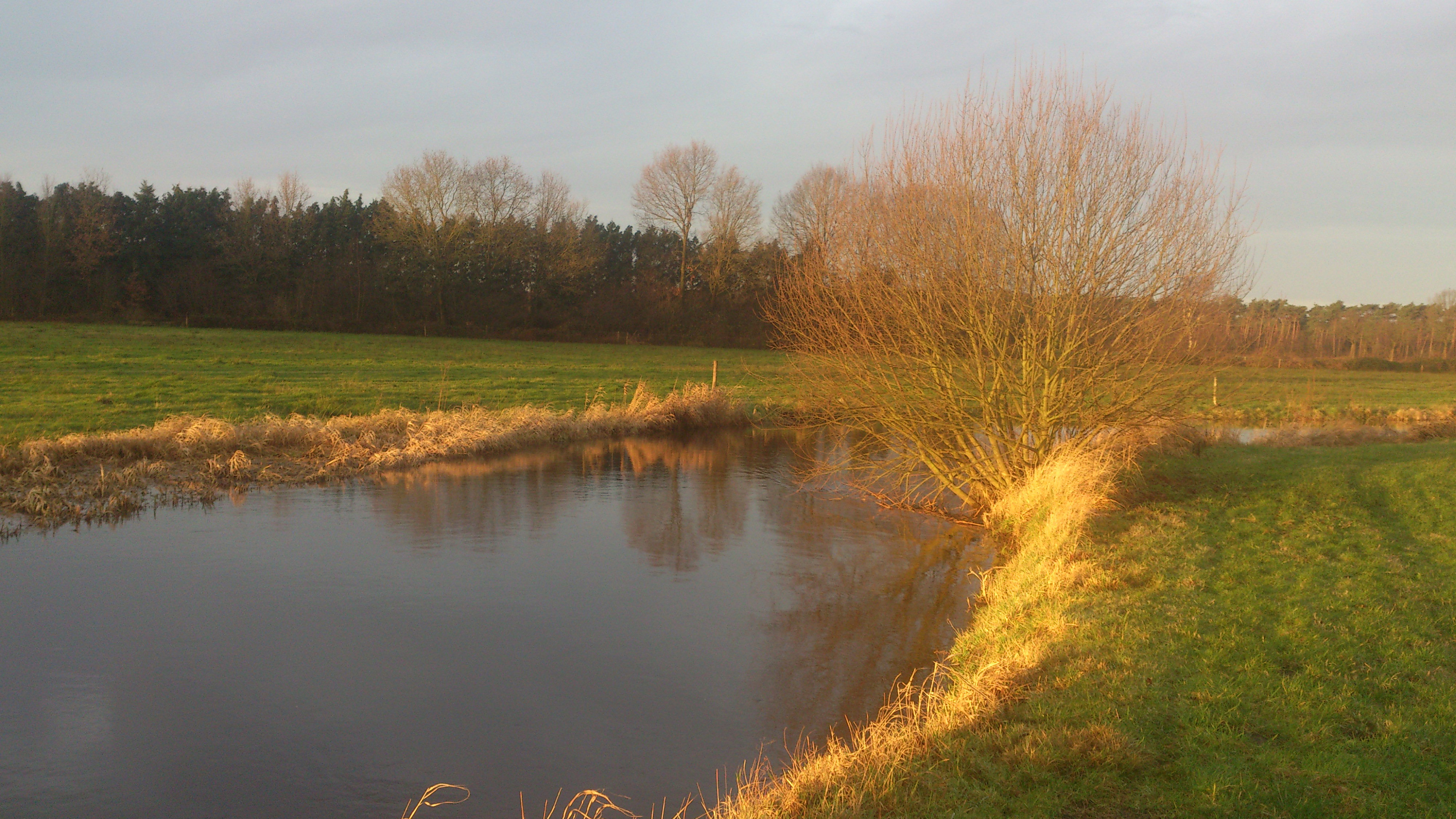 Naturhäuschen in Leende