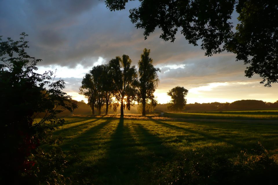 - image: 17