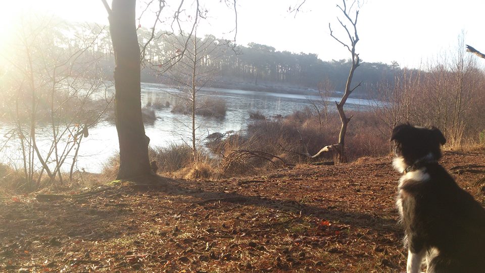 Naturhäuschen in Leende