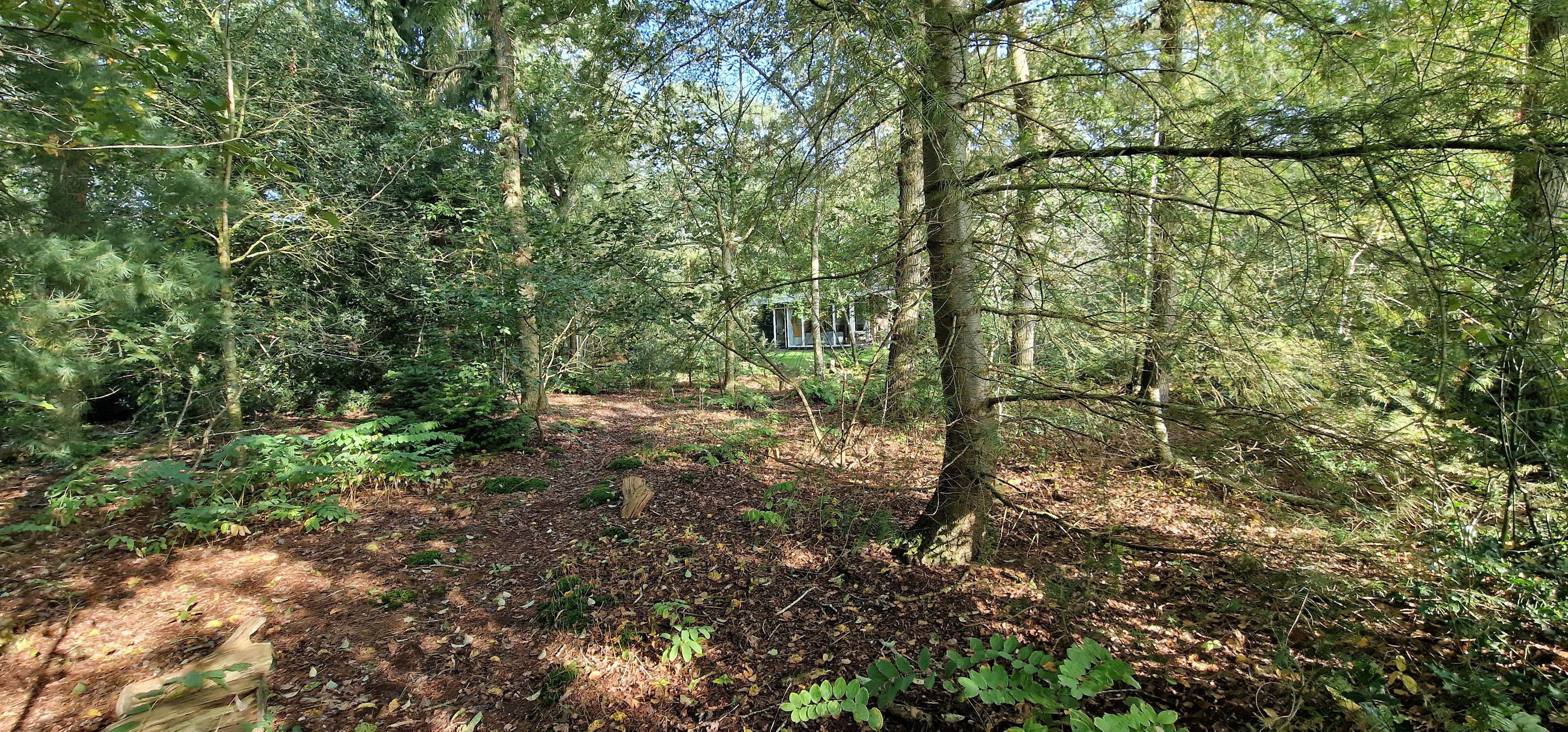 Natuurhuisje in Wateren (Westerveld)