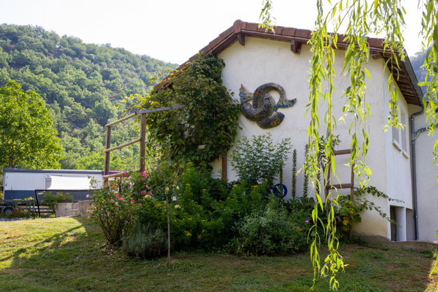 - image: 1