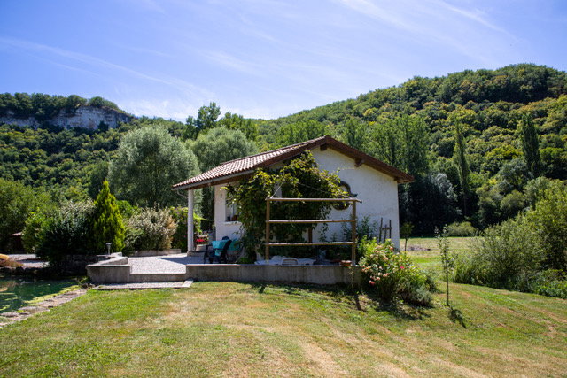 - image: 2