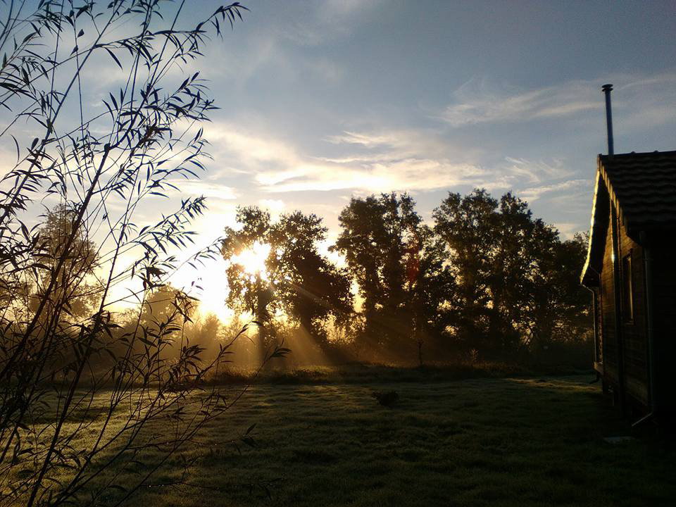 - image: 12