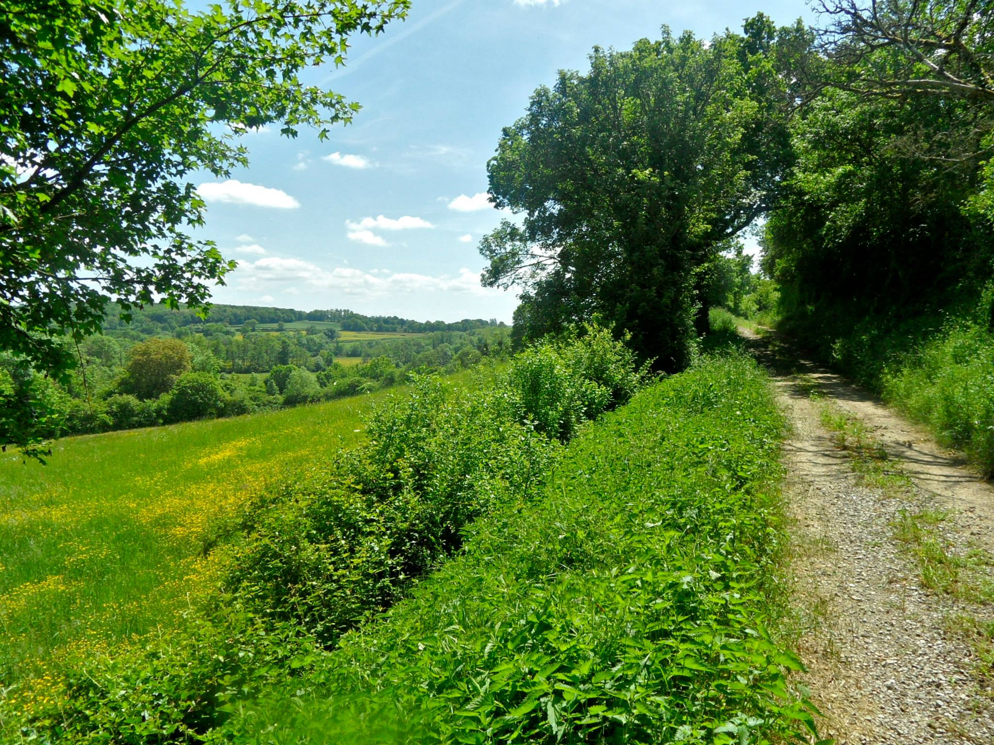 Naturhäuschen in Marigny Sur Yonne