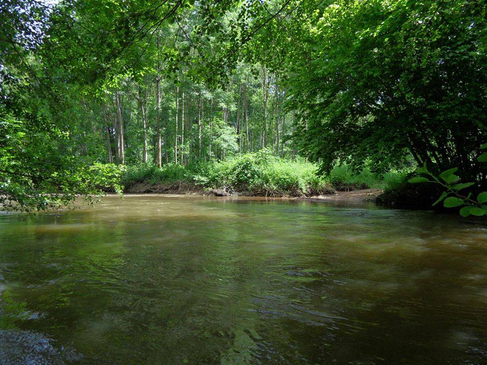Naturhäuschen in Marigny Sur Yonne
