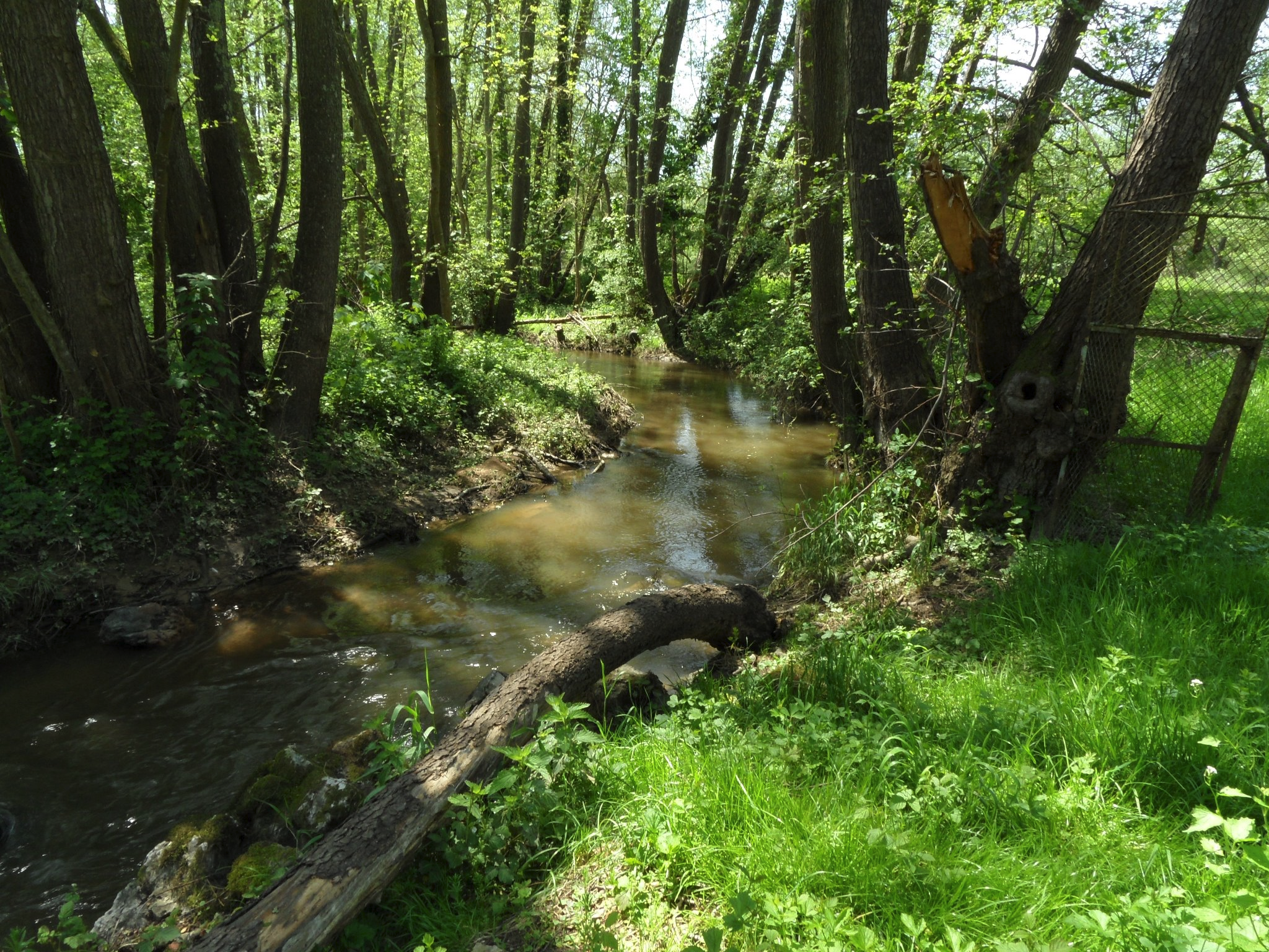 Naturhäuschen in Marigny Sur Yonne