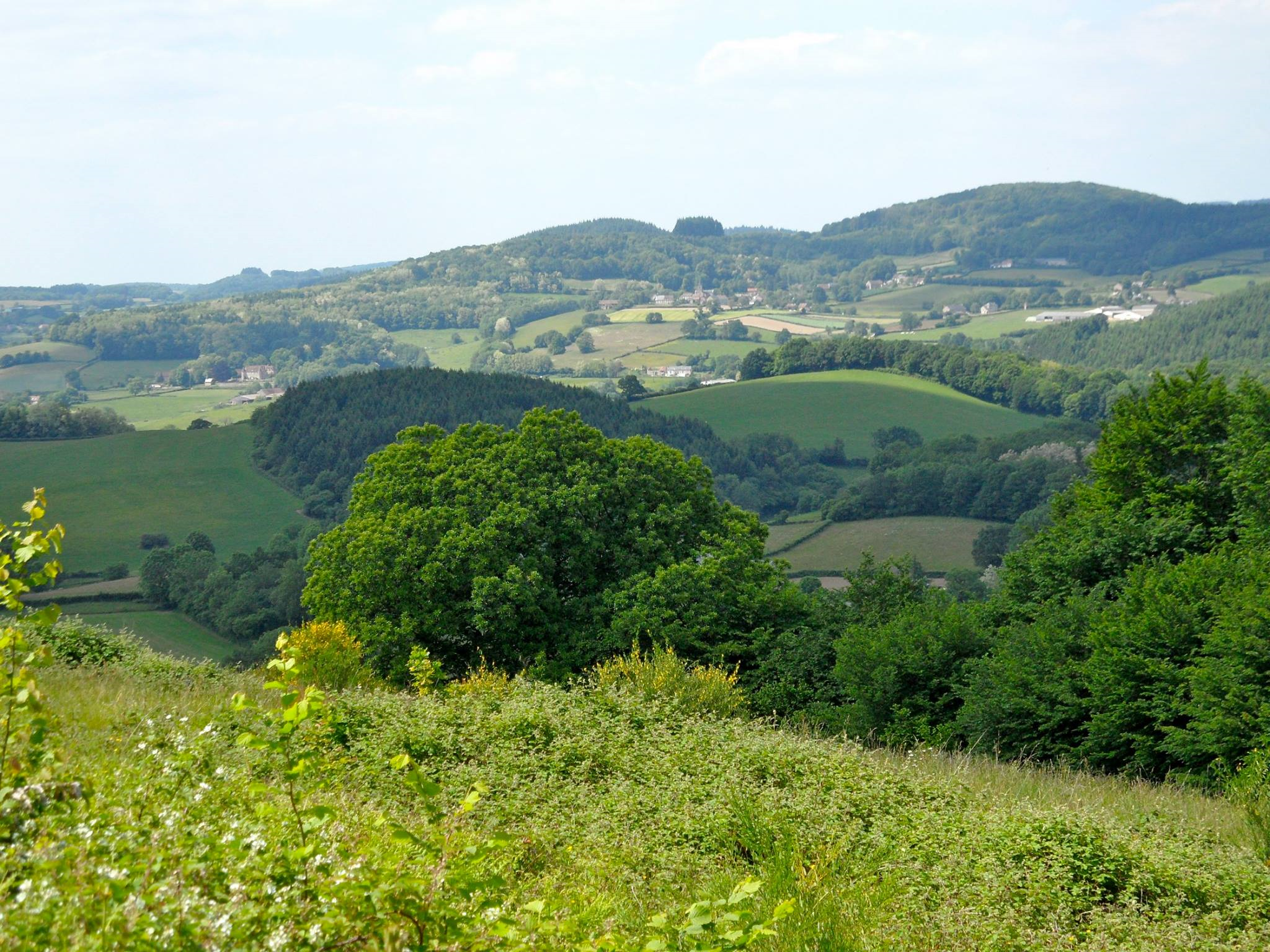 Naturhäuschen in Marigny Sur Yonne