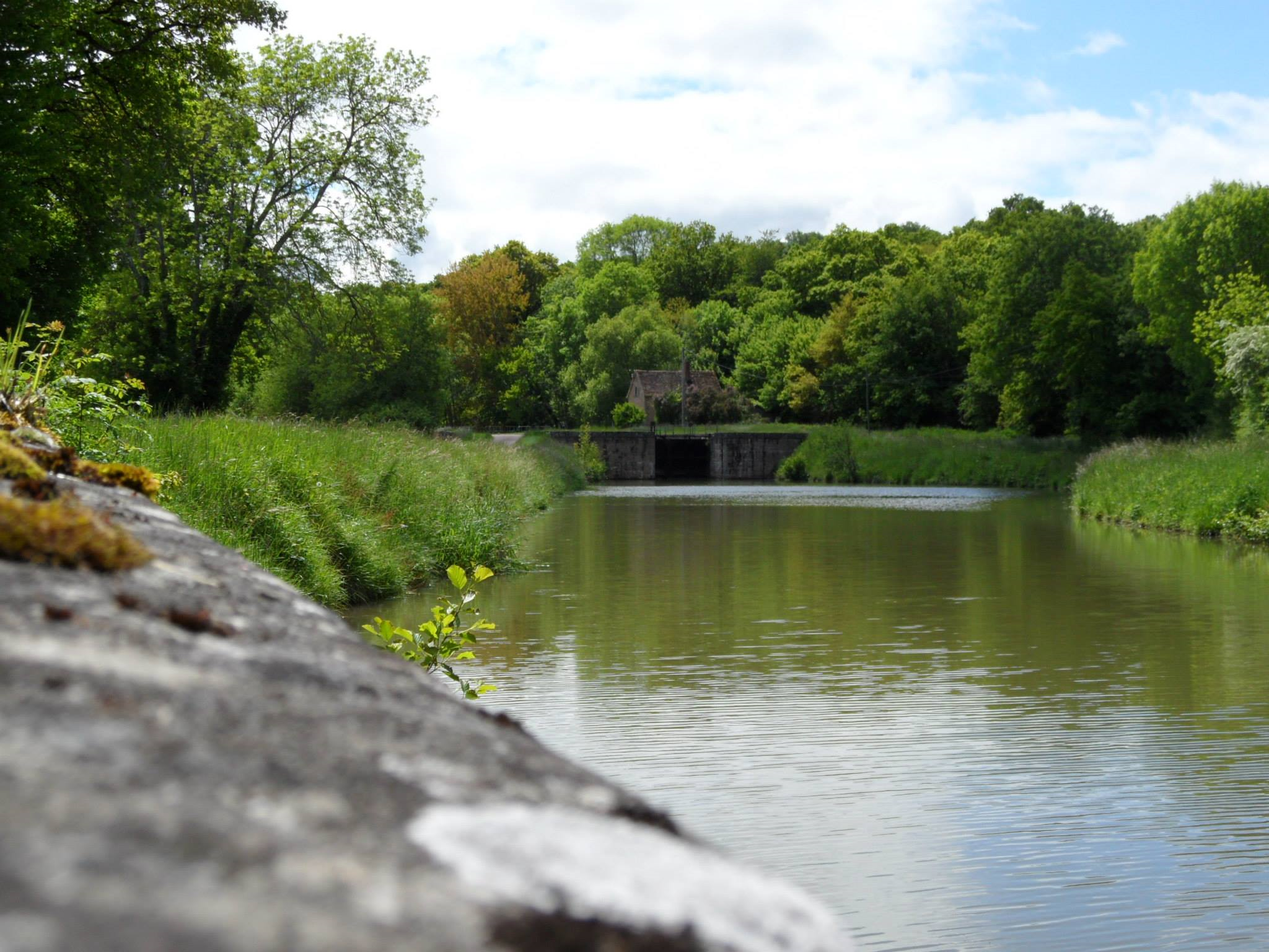 - image: 12