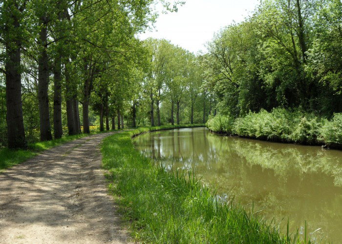 - image: 16