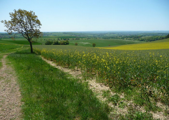 - image: 19