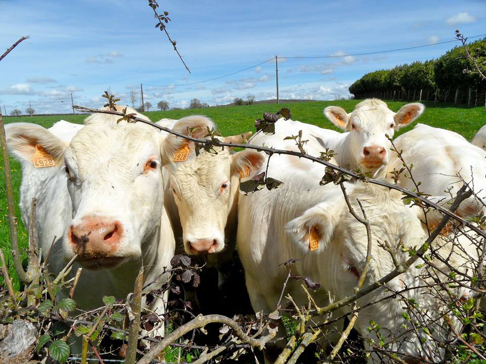 - image: 22