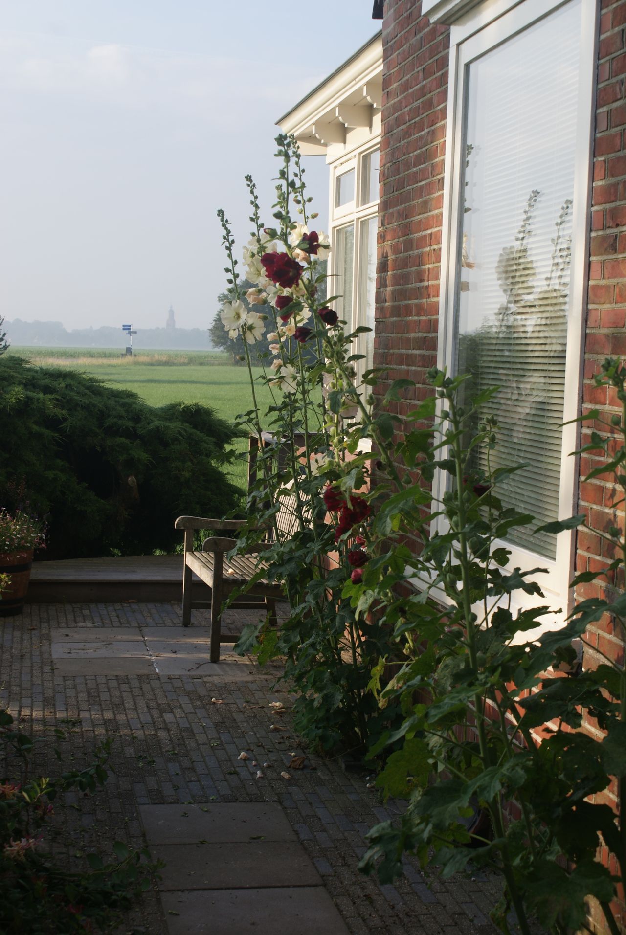 Maison nature à Eenrum