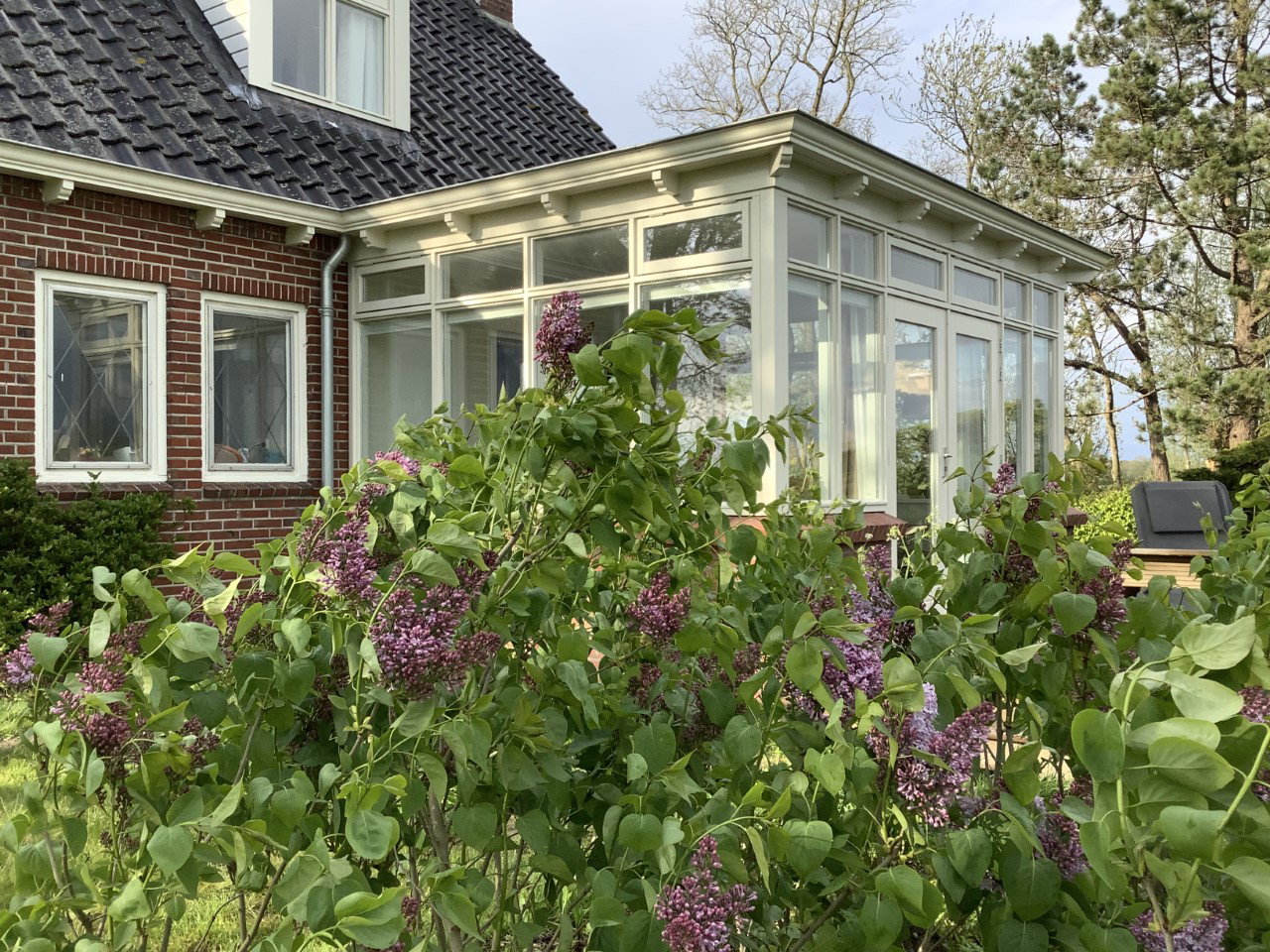 Maison nature à Eenrum