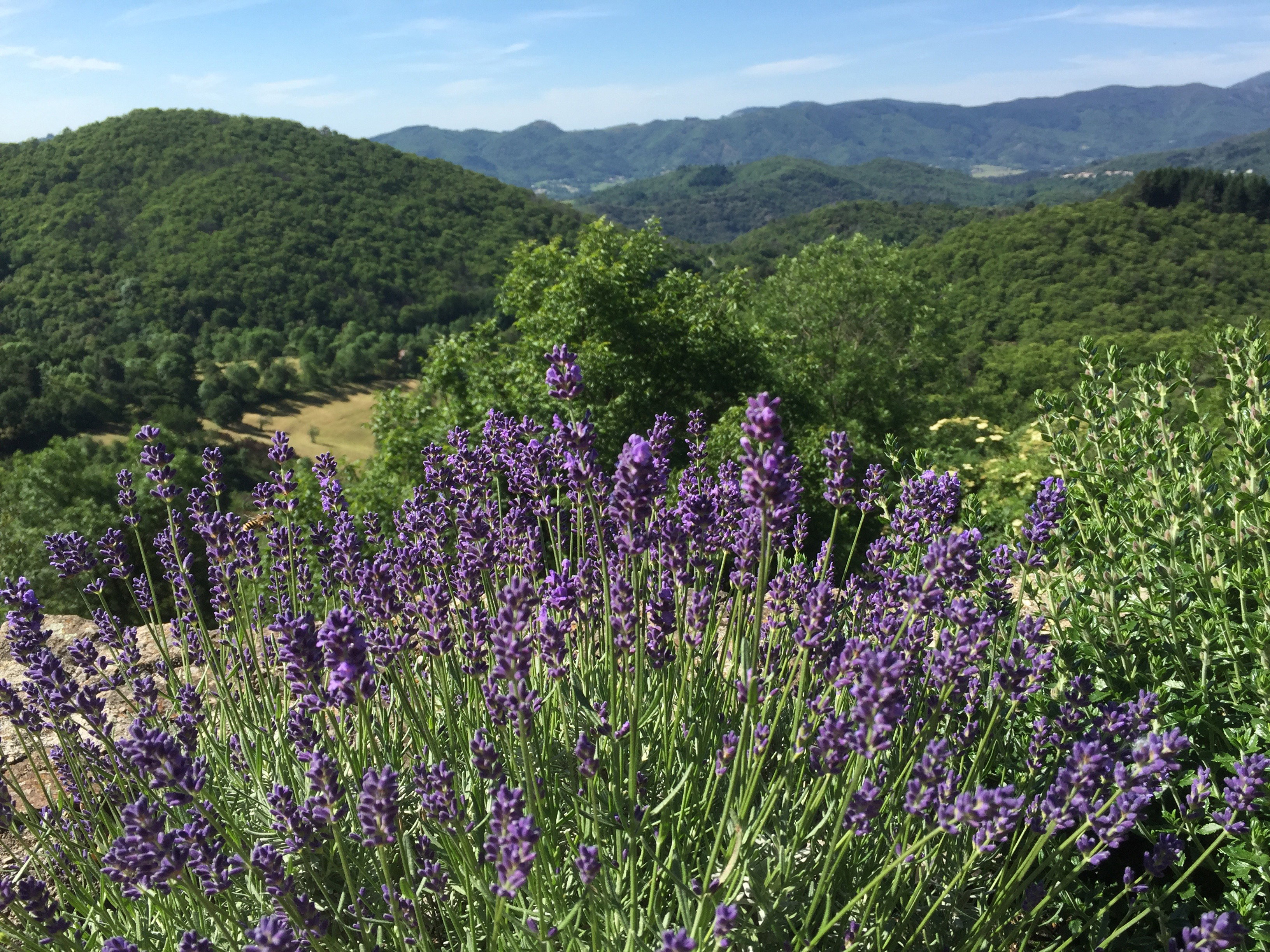 Maison nature à Vals-les-Bains