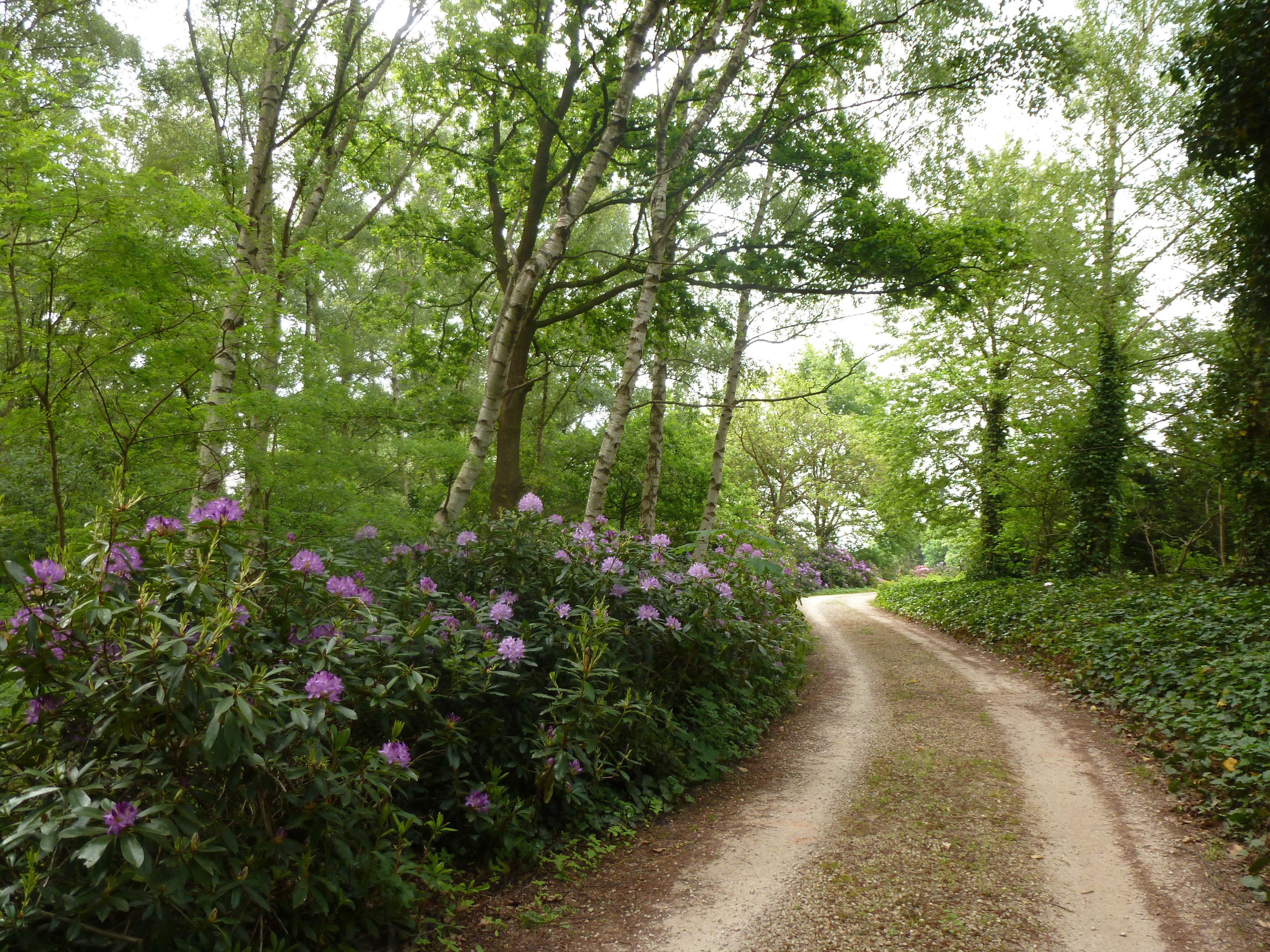Maison nature à Paal