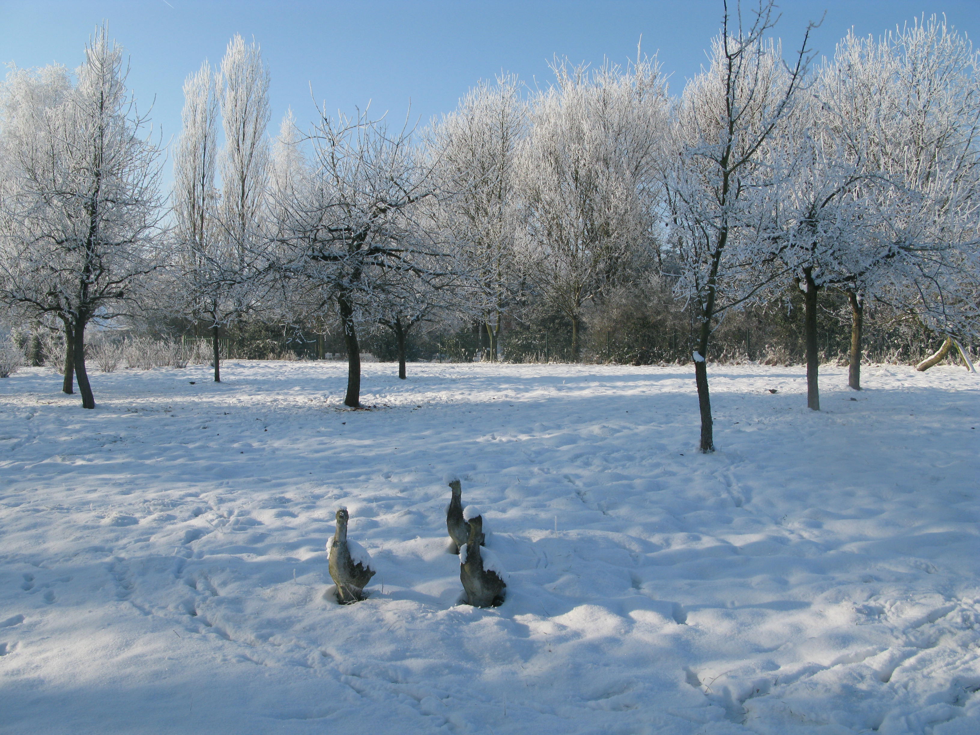 - image: 23
