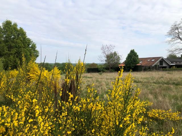 Natuurhuisje in Paal