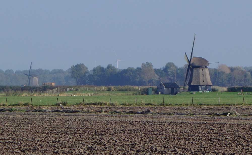 - image: 27