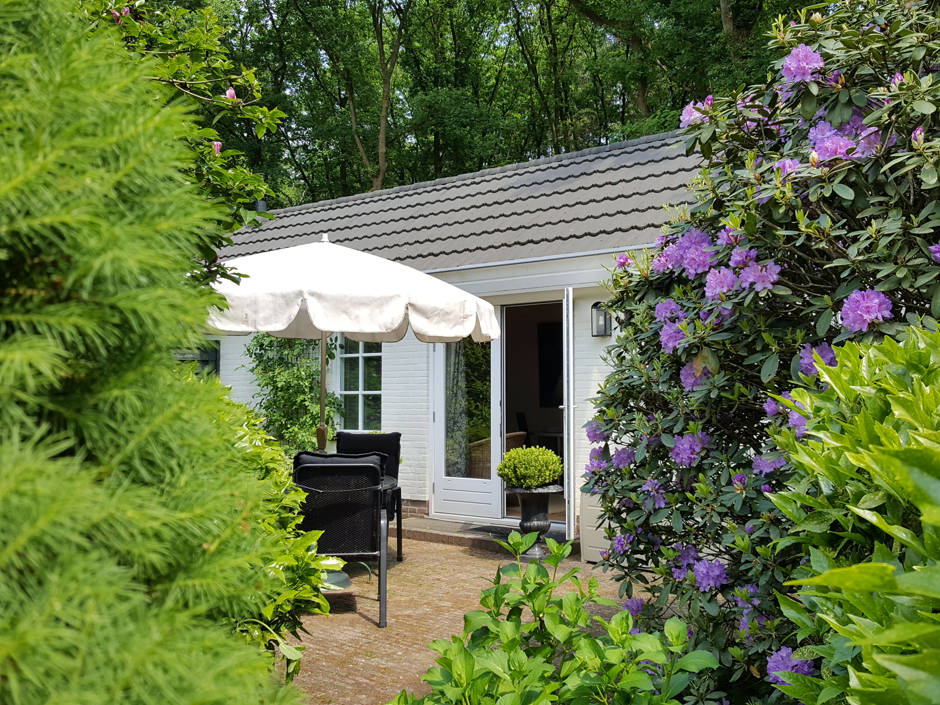 Naturhäuschen in Doorn