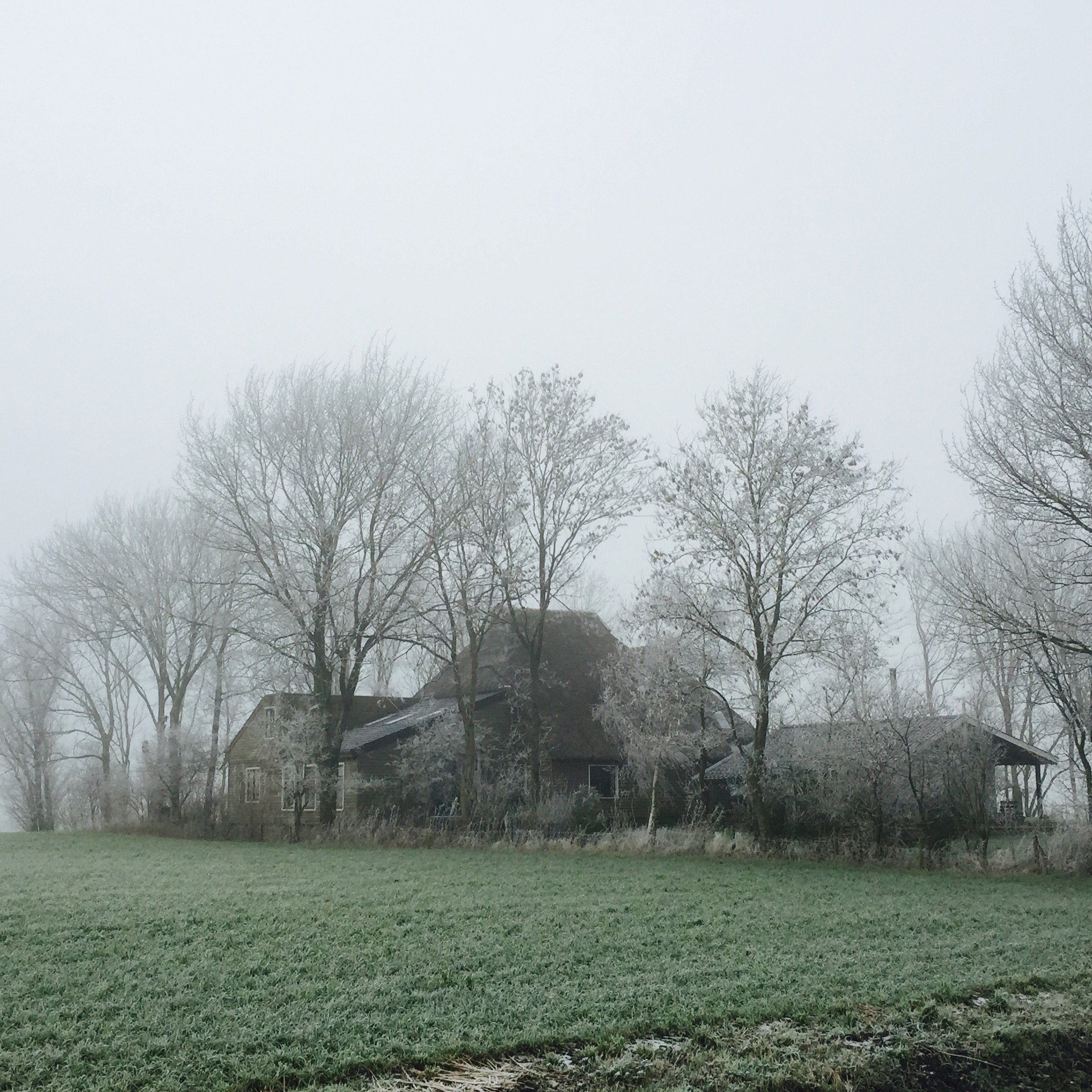 - image: 24
