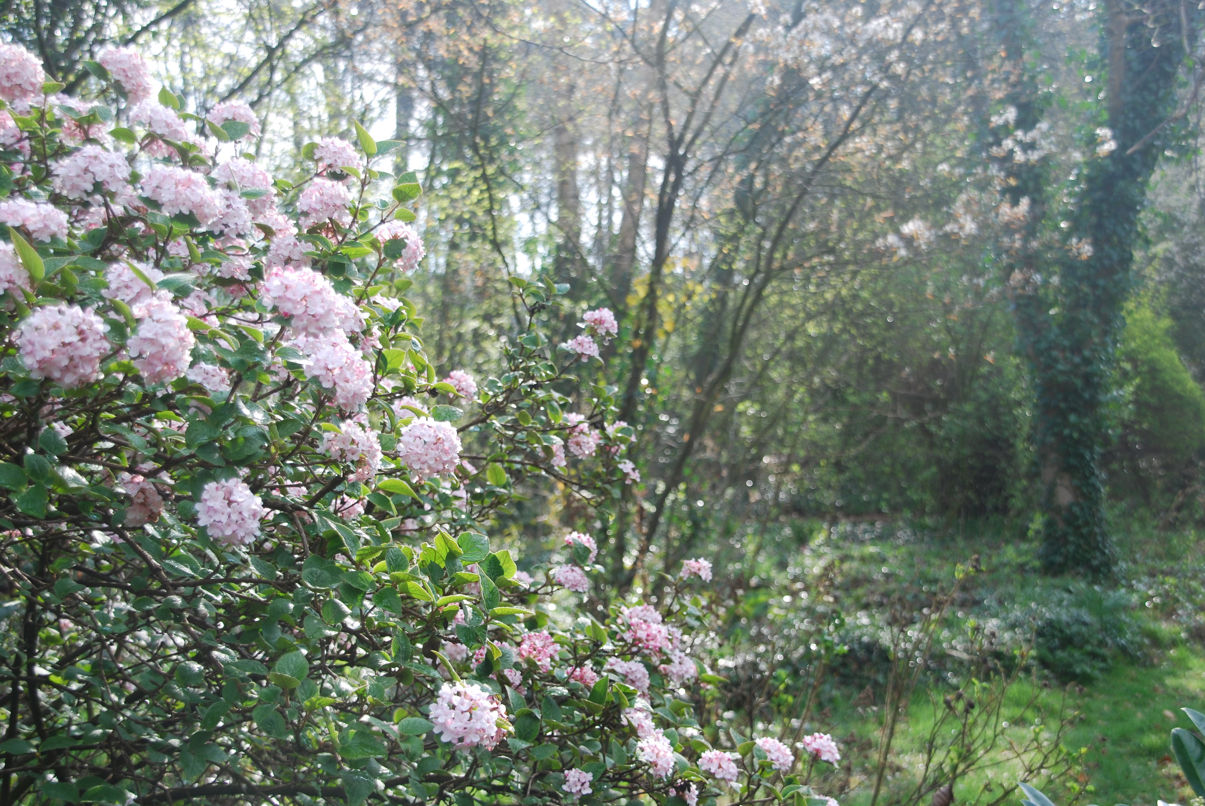 - image: 25