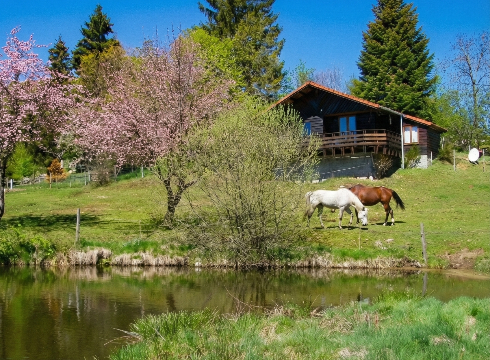 Natuurhuisje in CROS